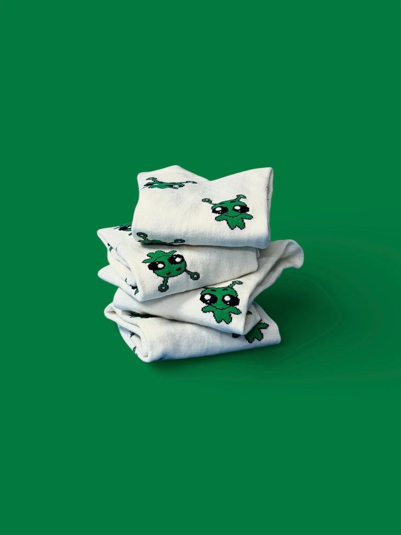 Item included in the box